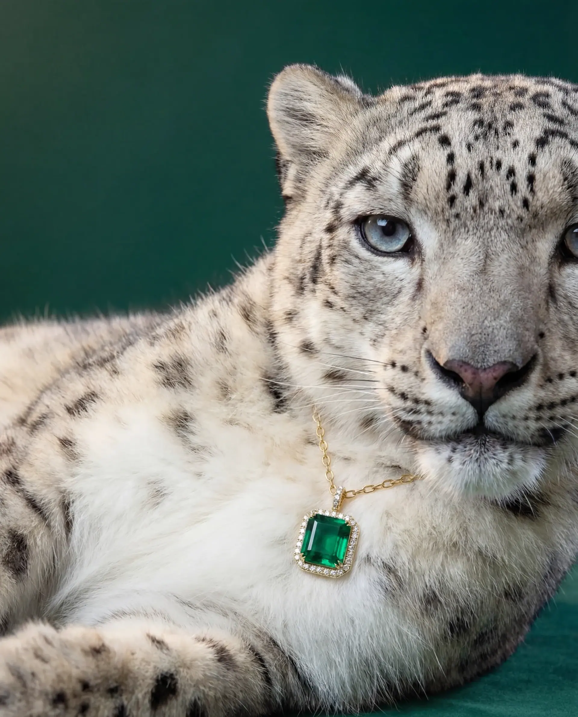 Leo Jewelries: a snow leopard on green velvet wearing an emerald pendant.